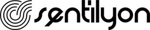 Sentilyon SEO Digital Agency